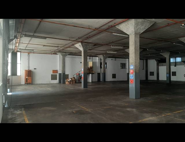 773M² WAREHOUSE TO LET IN NEW GERMANY